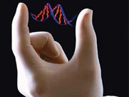 Размотать спираль ДНК