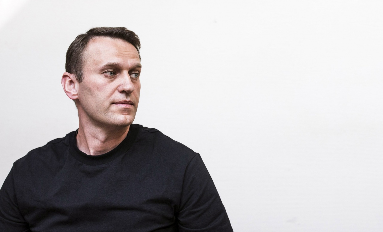 Алексей Навальный: мы единственные, кто ведет ...