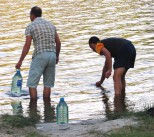 У водопоя