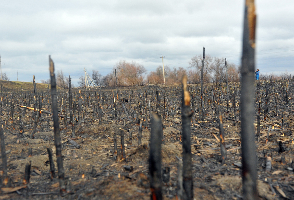 Астраханская область: последствия пожара, 25 марта 2017 года