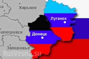 В ЛНР и ДНР объявили результаты голосования