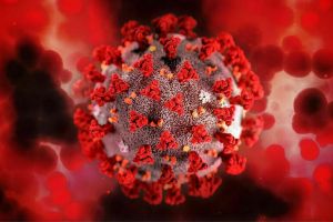 В России за сутки выявили почти 75 тысяч новых случаев коронавируса